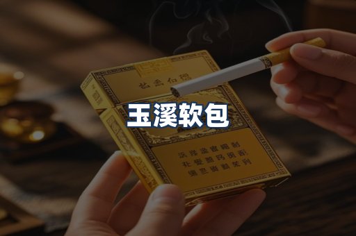 玉溪软包